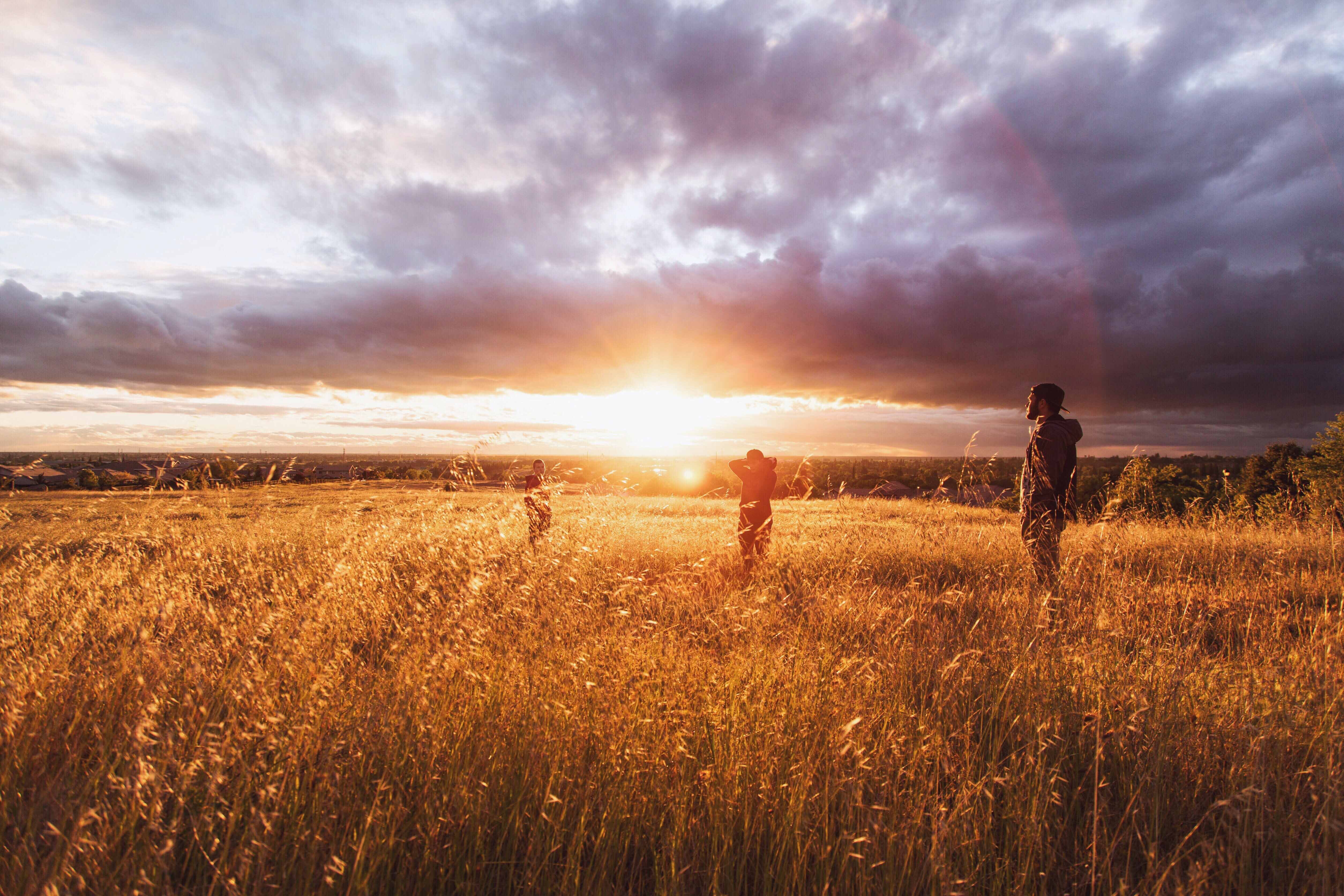 agriculture-countryside-dawn-9153